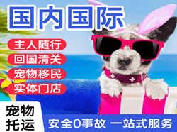 海西花土沟机场货运国际宠物托运 【国